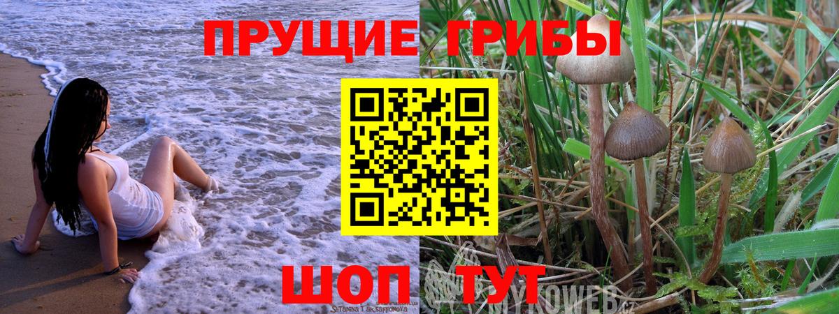 A-PVP Югорск